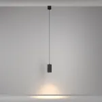 Подвесной светильник Maytoni Pendant P100PL-20W3K-B