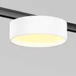 Трековый светильник Maytoni LEVITY TR189-1-12W2.7K-BW от ImperiumLoft