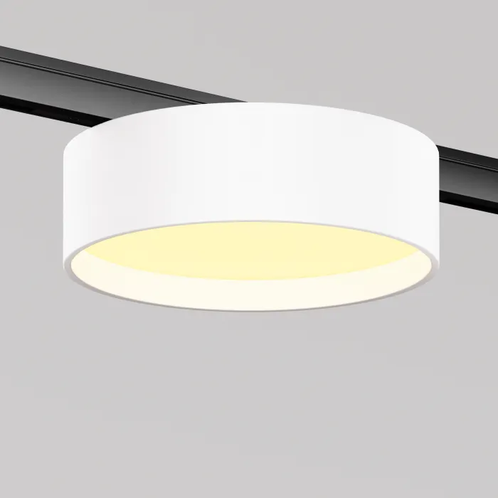 Трековый светильник Maytoni LEVITY TR189-1-12W2.7K-BW от ImperiumLoft