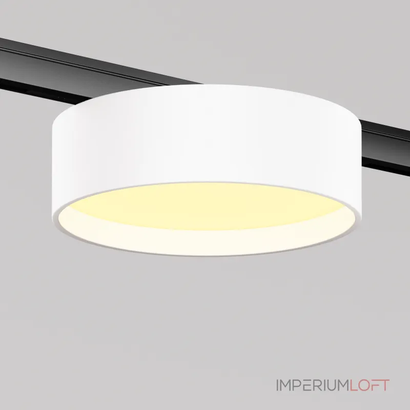 Трековый светильник Maytoni LEVITY TR189-1-12W2.7K-BW