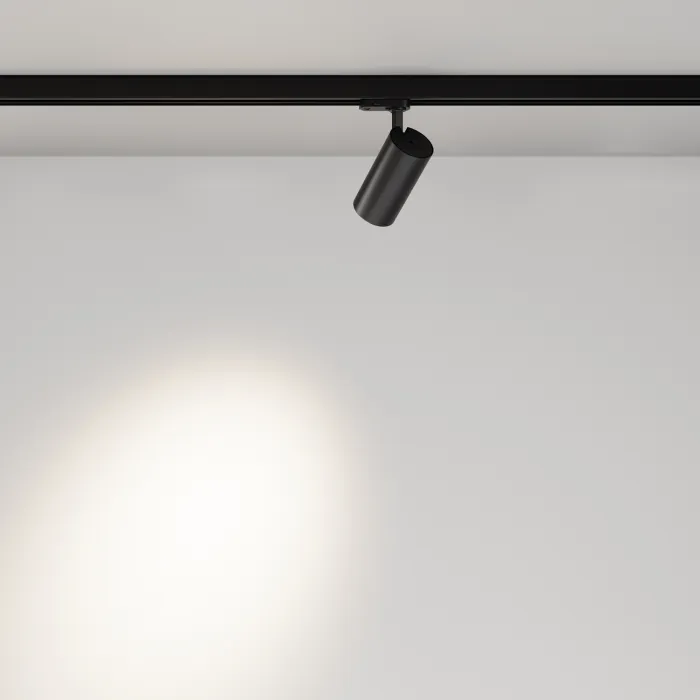 Трековый светильник Maytoni TRINITY TR197-3-20WCCT-M-B от ImperiumLoft