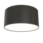 Потолочный светильник Zon C032CL-12W3K-RD-B