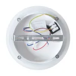 Настенный светильник Freya Маркет / Market FR6199WL-L11W