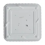 Потолочный светильник Freya Биссар / Bissar FR6227CL-L36W