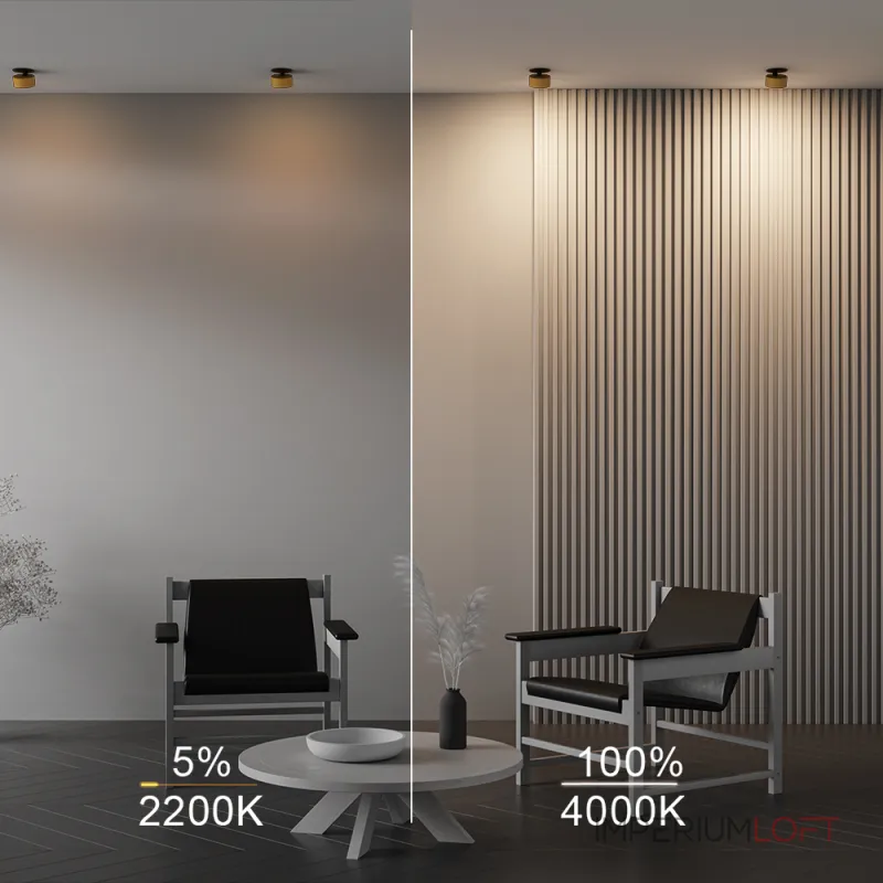 Встраиваемый светильник Maytoni Downlight DL024-12W-DTW-BMG от ImperiumLoft Встраиваемый светильник Maytoni Downlight DL024-12W-DTW-BMG от ImperiumLoft