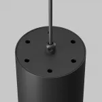 Подвесной светильник Maytoni Pendant P100PL-20W3K-B
