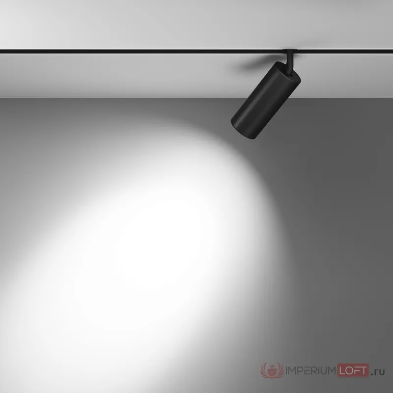 Трековый светильник Maytoni Focus LED TR032-4-20WTW-M-DD2-B от ImperiumLoft