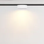 Трековый светильник Maytoni LEVITY TR189-1-12W2.7K-BW от ImperiumLoft
