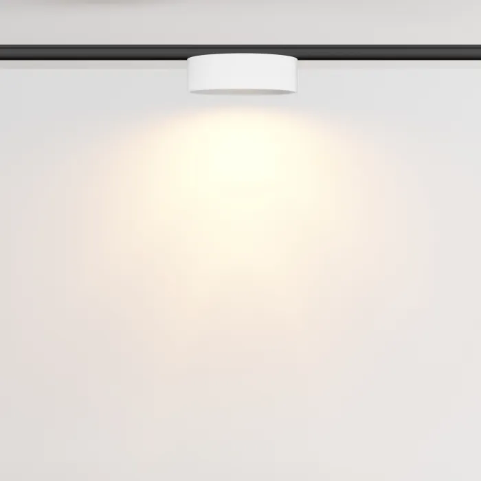 Трековый светильник Maytoni LEVITY TR189-1-12W2.7K-BW от ImperiumLoft