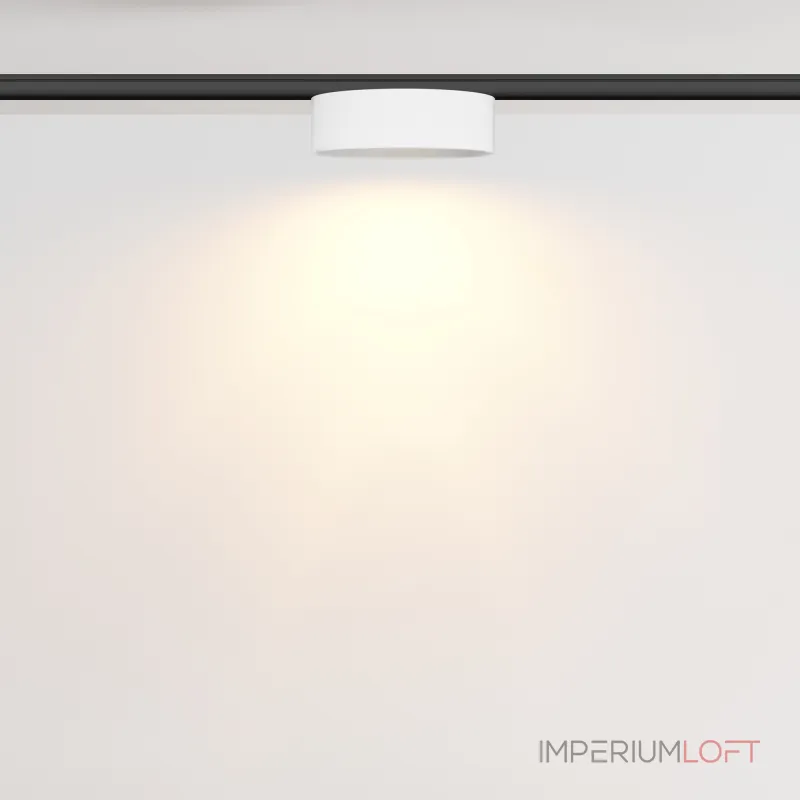 Трековый светильник Maytoni LEVITY TR189-1-12W2.7K-BW