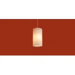 Подвесной светильник Freya Modern Pietre FR5592PL-01BS