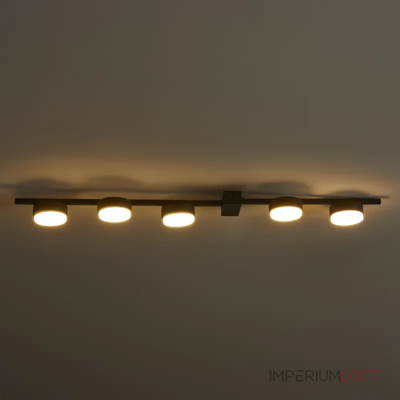 Потолочный светильник Freya Ламия / Lamia FR5182CL-05B