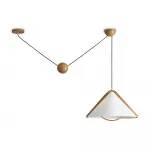 Потолочный светильник Freya Umbra FR5554CL-01T