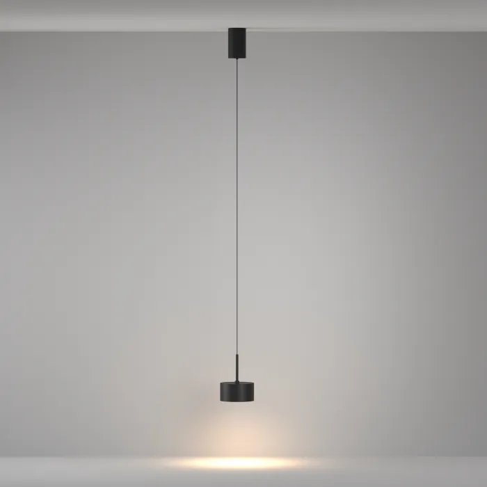 Подвесной светильник Maytoni Pendant P102PL-12W3K-B от ImperiumLoft