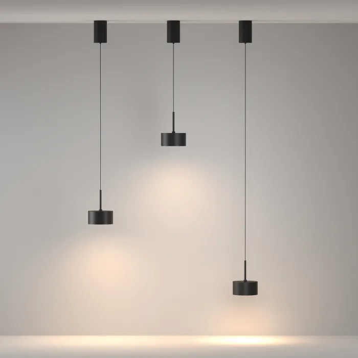 Подвесной светильник Maytoni Pendant P102PL-12W3K-B от ImperiumLoft