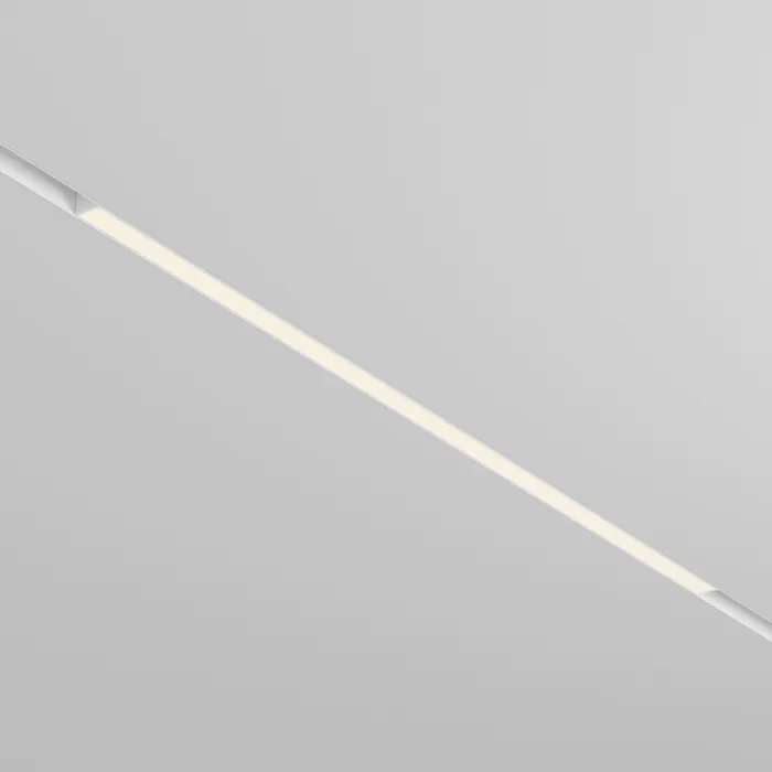 Трековый светильник Maytoni EXILITY TR030-2-30W3K-W от ImperiumLoft