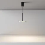 Подвесной светильник Maytoni Pendant P076PL-L12W3K-B