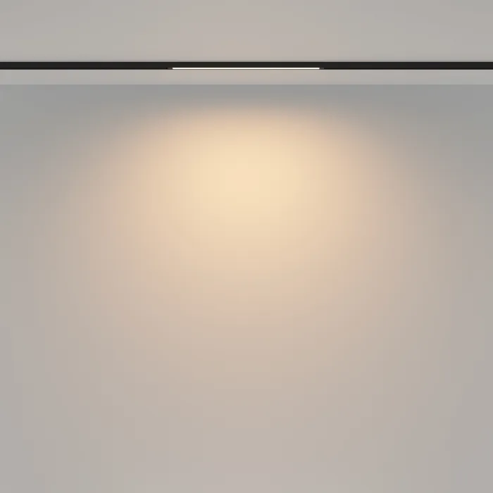 Трековый светильник Maytoni BASITY TR173-1-8WTW-B от ImperiumLoft