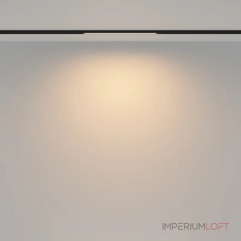 Трековый светильник Maytoni BASITY TR173-1-8WTW-B от ImperiumLoft Трековый светильник Maytoni BASITY TR173-1-8WTW-B от ImperiumLoft