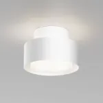 Потолочный светильник Maytoni Ceiling C092CL-GX53-W от ImperiumLoft
