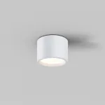 Потолочный светильник Maytoni Ceiling C090CL-10W3K-W от ImperiumLoft
