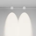 Потолочный светильник Maytoni Ceiling C217CL-15W4K-W от ImperiumLoft