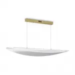 Подвесной светильник Freya Modern FR5441PL-L40G от ImperiumLoft