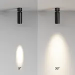 Потолочный светильник Maytoni Ceiling FOCUS LED C055CL-L12W2.7K-SS-B
