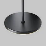 Подвесной светильник Maytoni Pendant P076PL-L12W3K-B