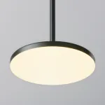 Подвесной светильник Maytoni Pendant P076PL-L12W3K-B