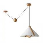 Потолочный светильник Freya Umbra FR5554CL-01T