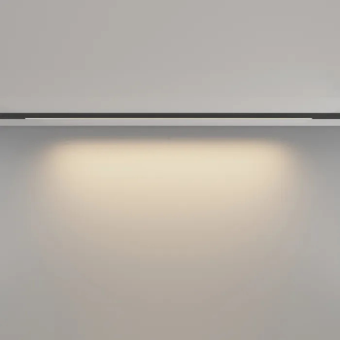 Трековый светильник Maytoni LEVITY TR190-1-15W3K-B от ImperiumLoft