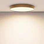 Потолочный светильник Maytoni Ceiling C032CL-90W3K-RD-MG