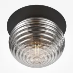 Потолочный светильник Maytoni Modern MOD268CL-01B