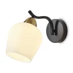 Настенный светильник Freya Shadow FR5422WL-01BZ