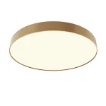 Потолочный светильник Maytoni Ceiling C032CL-90W3K-RD-MG