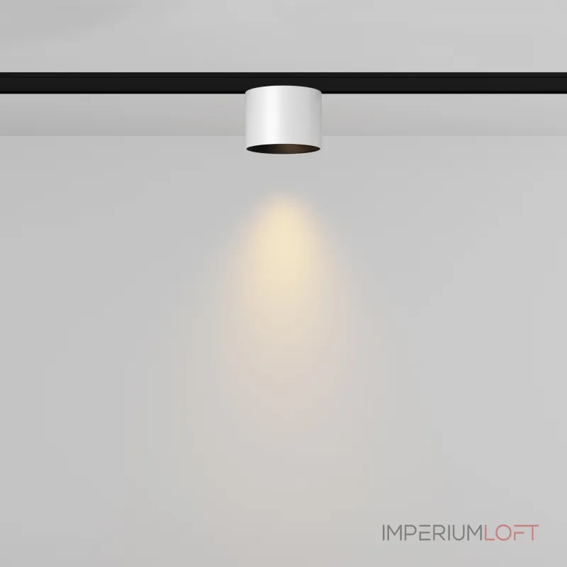 Трековый светильник Maytoni LEVITY TR188-1-5W2.7K-M-BW