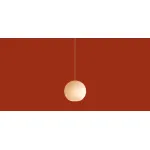 Подвесной светильник Freya Modern Pietre FR5592PL-01BS1