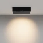 Потолочный светильник Maytoni Ceiling C136CL-12W3K-B от ImperiumLoft