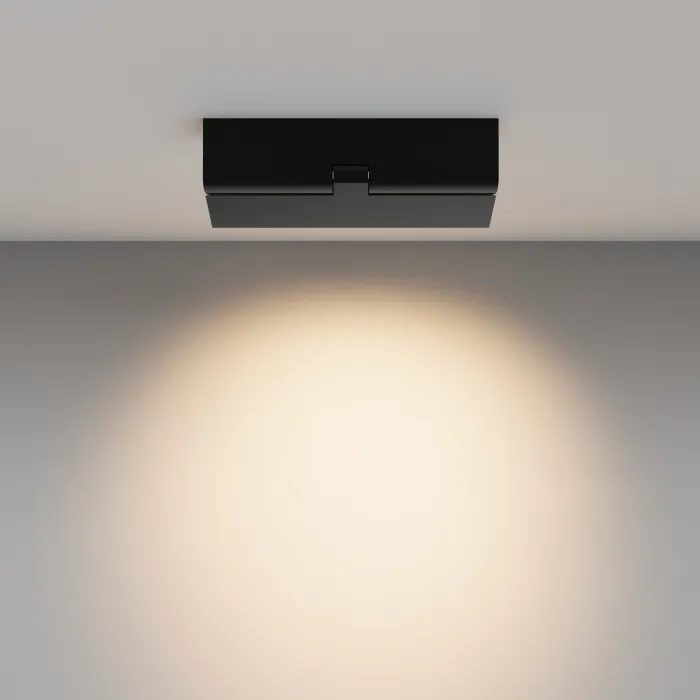 Потолочный светильник Maytoni Ceiling C136CL-12W3K-B от ImperiumLoft