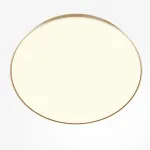 Потолочный светильник Maytoni Ceiling C032CL-90W3K-RD-MG