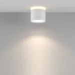 Потолочный светильник Maytoni Ceiling C120CL-GX53-W