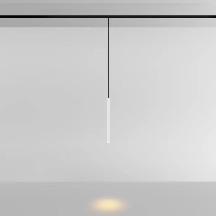 Трековый подвесной светильник Maytoni LEVITY TR191-1-3W2.7K-M-BW от ImperiumLoft