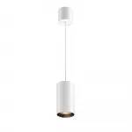 Подвесной светильник Maytoni Pendant P100PL-20W3K-W