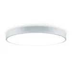 Потолочный светильник Freya Сприда / Sprida FR6129CL-L80GR
