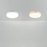 Потолочный светильник Freya Сприда / Sprida FR6129CL-L80GR