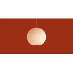 Подвесной светильник Freya Modern Pietre FR5592PL-01BS1