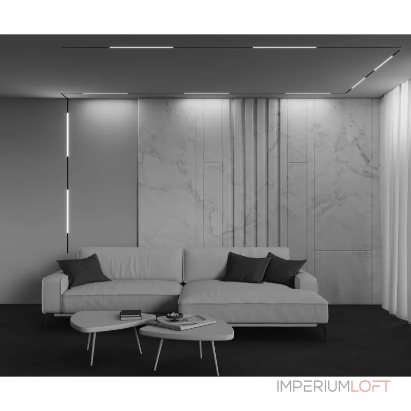 Трековый светильник Maytoni Basis TR240-2-12W4K-B