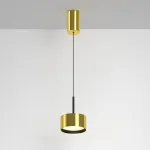 Подвесной светильник Maytoni Pendant P102PL-12W3K-BS