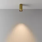 Потолочный светильник FOCUS LED C056CL-L12W3K-W-BS